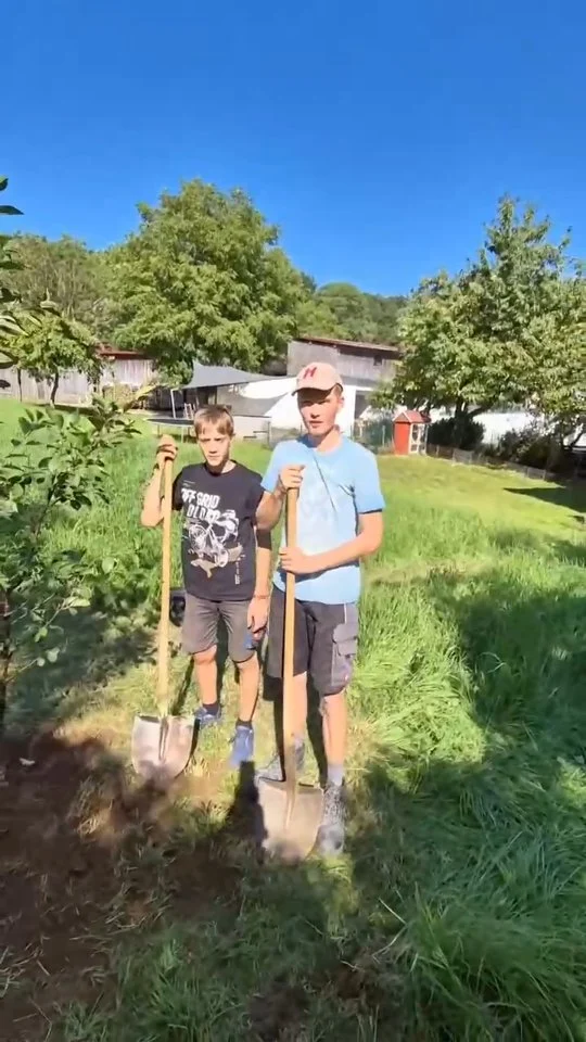 Danke für die Nominierung Bürgermeister Peter Bergler @berglers_biohof / @jugend_berg
Wir zahlen natürlich keine Brotzeit, sondern wie es die Challenge will, hat unsere Jugend gestern einen Kirschbaum gepflanzt! 💪 😊
Wir nominieren:
@scoberoelsbach
@djksvbergtennis
Viel Spaß! 🌳
#baumpflanzchallenge #Danke #rocknroll #rockdance #RocknRollBerg #djksvberg #rockdancefamily #jugend #Jugendarbeit